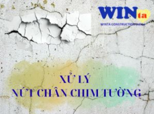 Nứt chân chim tường nhà: Nguyên nhân, cách xử lý triệt để & giải pháp chống nứt hiệu quả